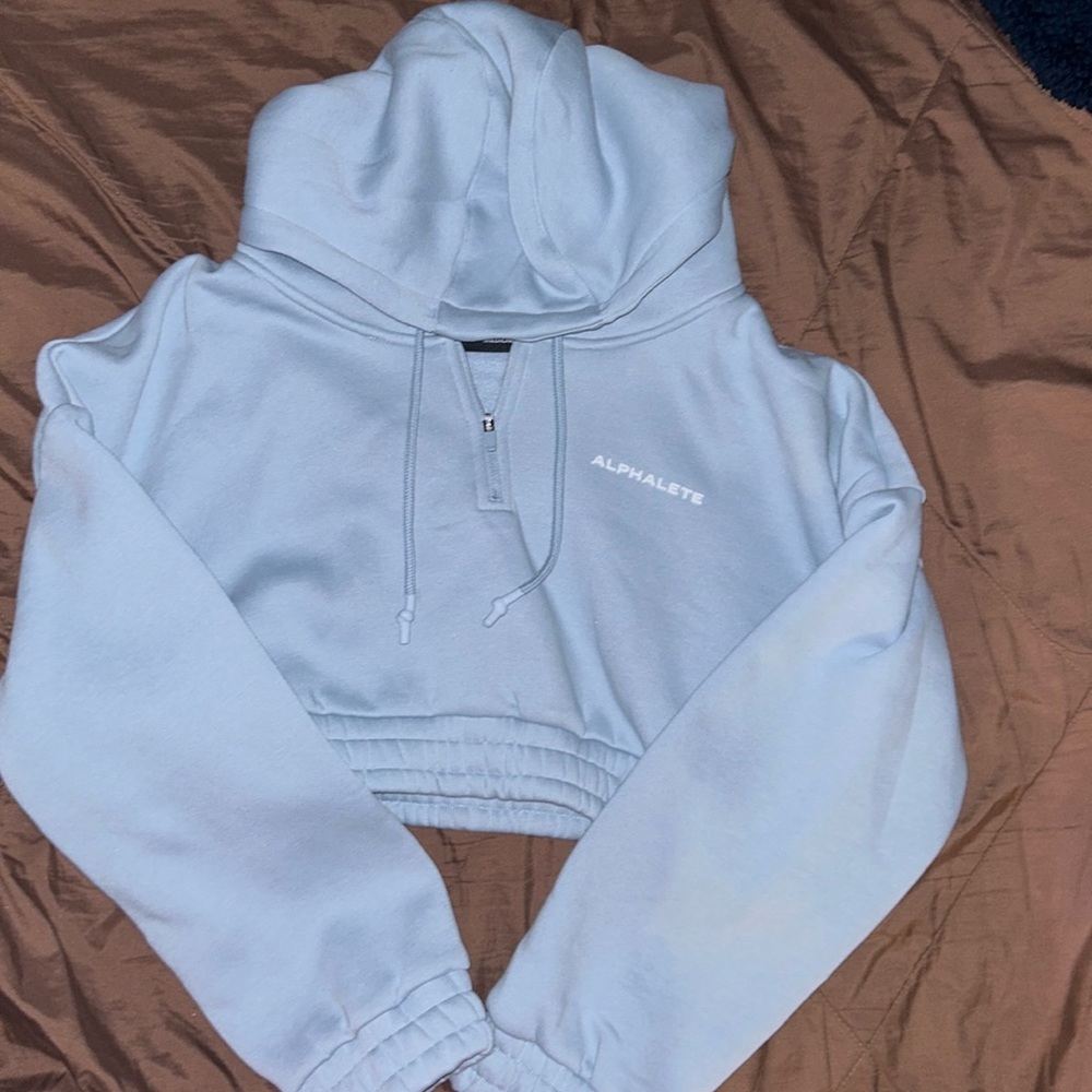 Alphalete Athletics Classic Capital crop hoodie (Fog Blue) Size Medium